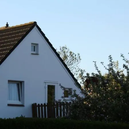 Janssen Borkum